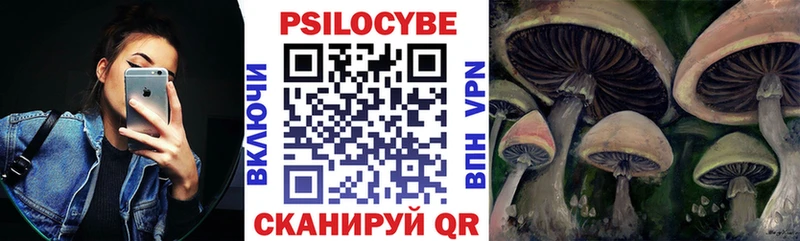 это какой сайт  Волосово  Псилоцибиновые грибы MAGIC MUSHROOMS 